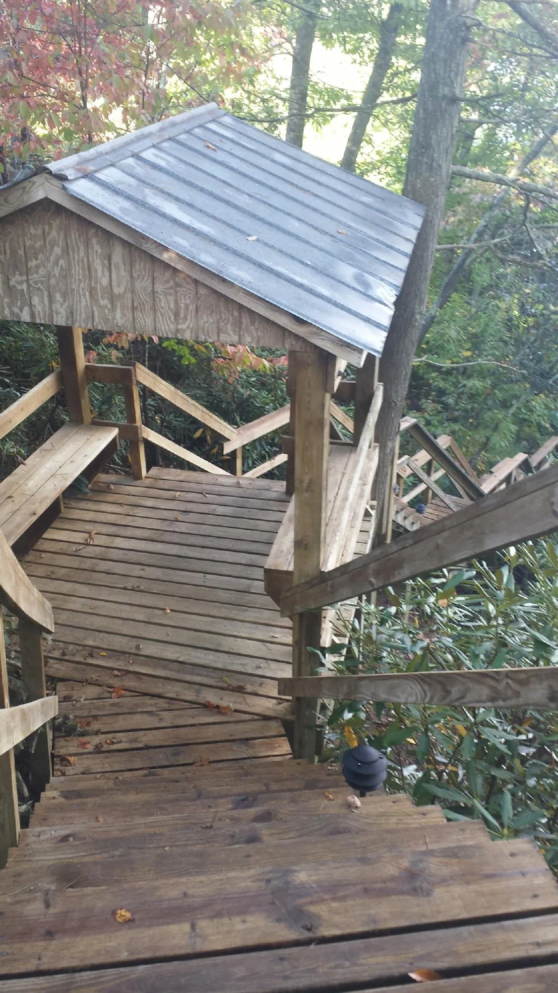 Metal roofed shelter over wooden steps on a wooded walkway — Skylight Repair & Installation work by our crew in Spanaway