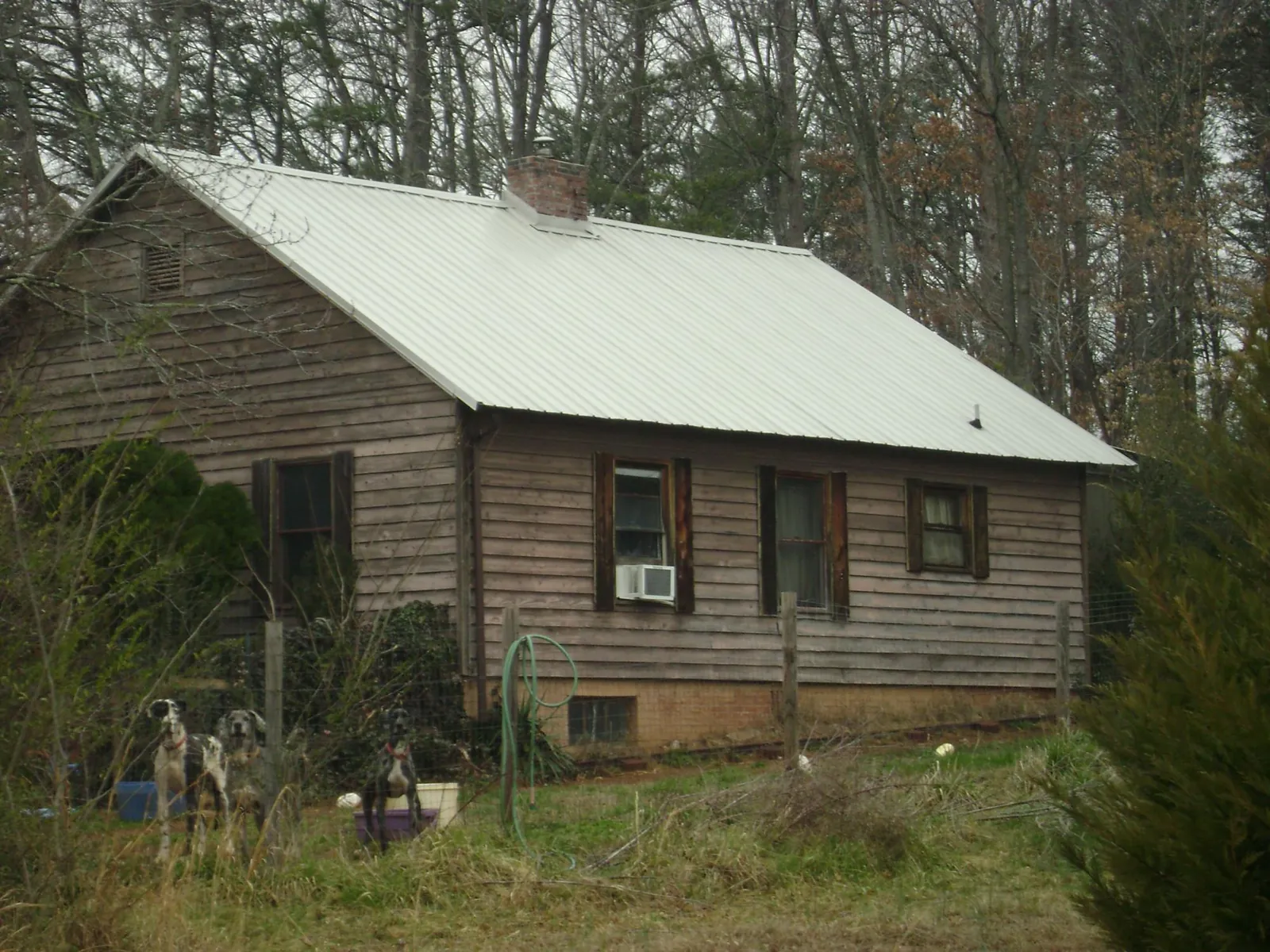 White metal roof on an old wood sided farmhouse, from a Metal Roof Installation job in Spanaway